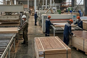 Үкімет Солтүстік Қазақстан облысында ағаш өңдеу зауытын салу жөніндегі инвестициялық келісімді мақұлдады