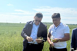 Солтүстік Қазақстан облысы: Айыртау ауданы дамудың жаңа кезеңінде