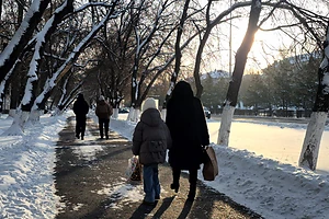 В СКО ожидается снежная неделя с туманами и метелями