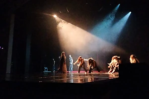 Театр танца Sensitive представил в Петропавловске этнопластический перформанс «Ботай»