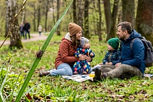 В СКО зарегистрировано 10 укусов клещей, трое пострадавших - дети