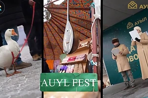 СҚО-да II Халықаралық «AUYL FEST. Қаз өсіру – 2026» фестивалі өтеді