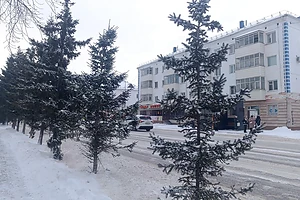 Шок! Северо-Казахстанскую область ждет неделя лютых морозов до минус 37 градусов