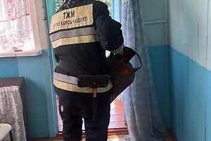 2 малолетних детей спасли пожарные при возгорании в доме в районе М. Жумабаева СКО