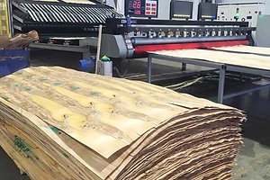 В СКО деревообрабатывающая компания развивает безотходное производство