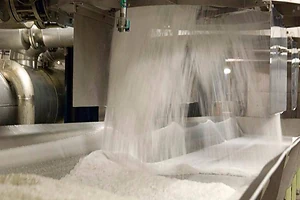 В районе Шал акына СКО планируют построить сахарный завод