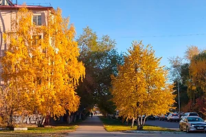 Резкое похолодание, дожди со снегом и штормовой ветер до 28 м/с идут в СКО