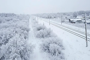 В Петропавловске пропавшую 73-летнюю женщину нашли погибшей: полиция ведёт расследование