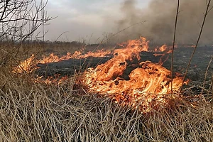 Солтүстік Қазақстан облысында өрт қауіпсіздігі талаптарын бұзған тұлғаға айыппұл салынды