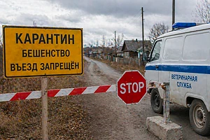 Появились официальные подробности по ситуации с карантином из-за бешенства в одном из сел СКО